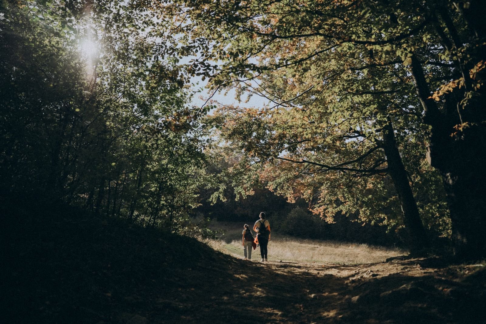 Gezin wandelt over een zonnig bospad, sfeerbeeld bij Center Parcs Les Bois-Francs in Normandië