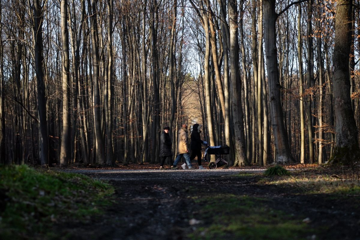Ouders wandelen met een kinderwagen door een bos, op vakantie met baby bij Center Parcs