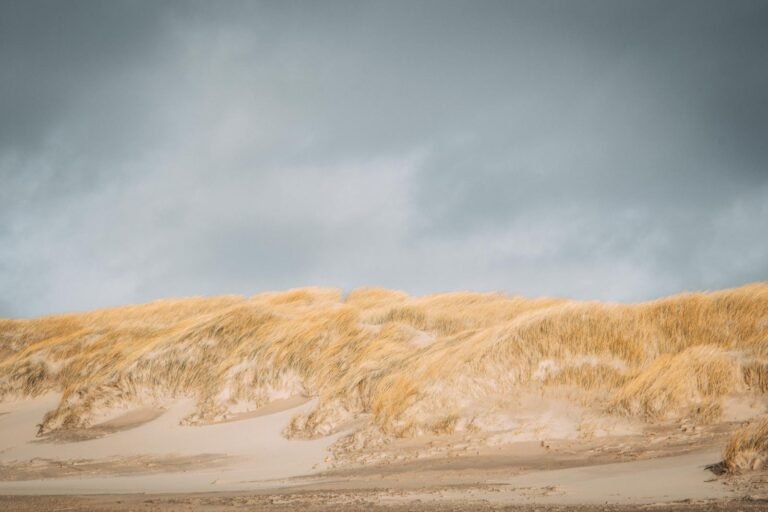 Duinen en Noordzee strand