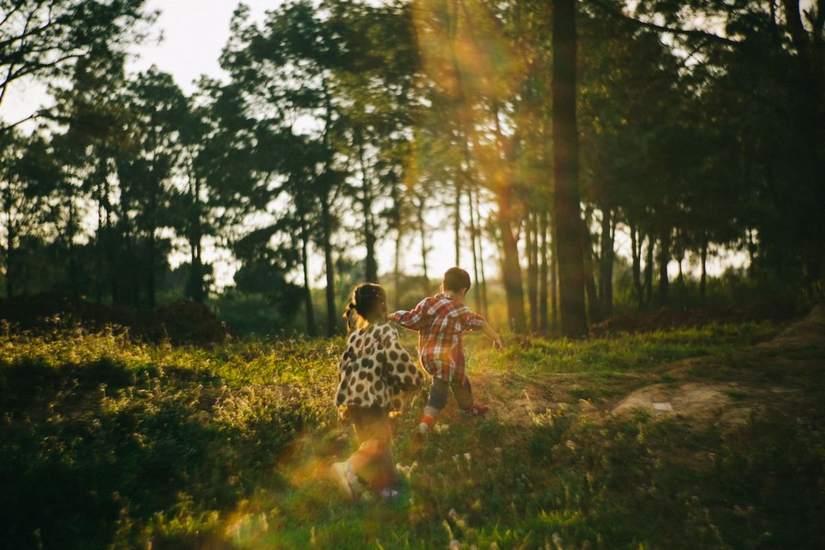 Kinderen spelen in een zonnig bos bij een vakantiepark in België