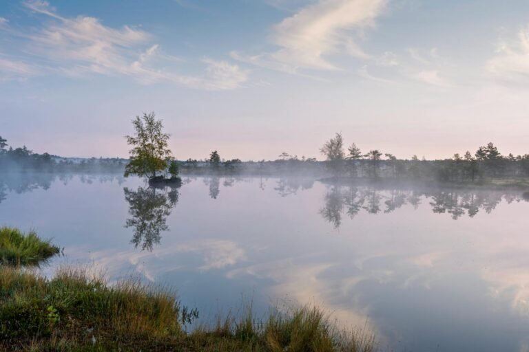 Mistig Scandinavisch meer bij zonsopgang in stijl van Nordborg Resort