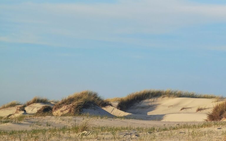 Roompot Nieuwvliet-Bad V6B Luxe: breed Noordzeestrand met duinen in Zeeland