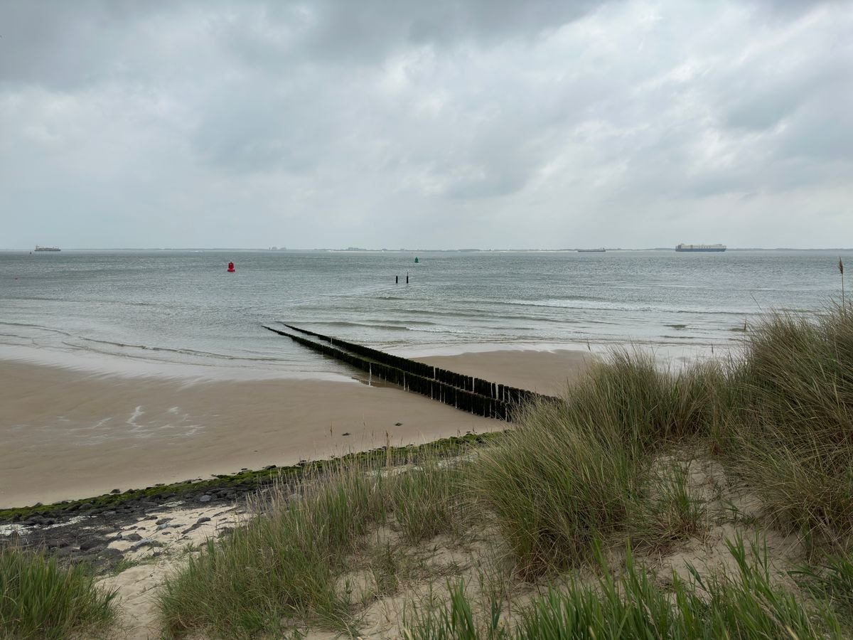 Noordzeestrand met duinen aan de Zeeuwse kust