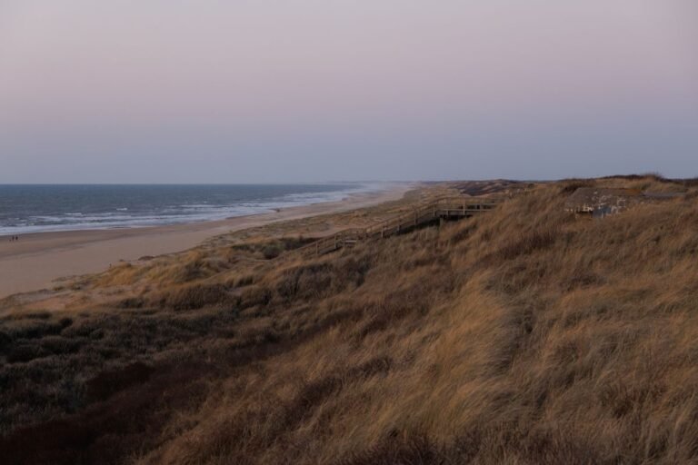 Breed Noordzeestrand met duinen, sfeerbeeld bij Roompot Beach Resort voor Duitse gasten