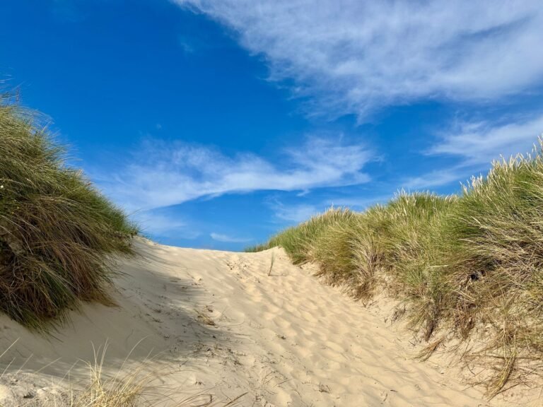 Strand met duinen en helmgras aan de Zeeuwse Noordzeekust bij Roompot Beach Resort