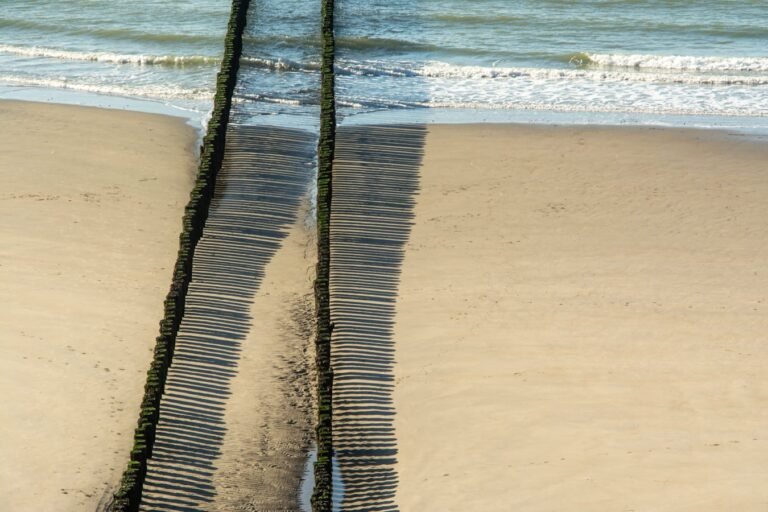Houten golfbrekers op het strand in Zeeland - omgeving van Roompot Beach Resort Nieuwvliet-Bad