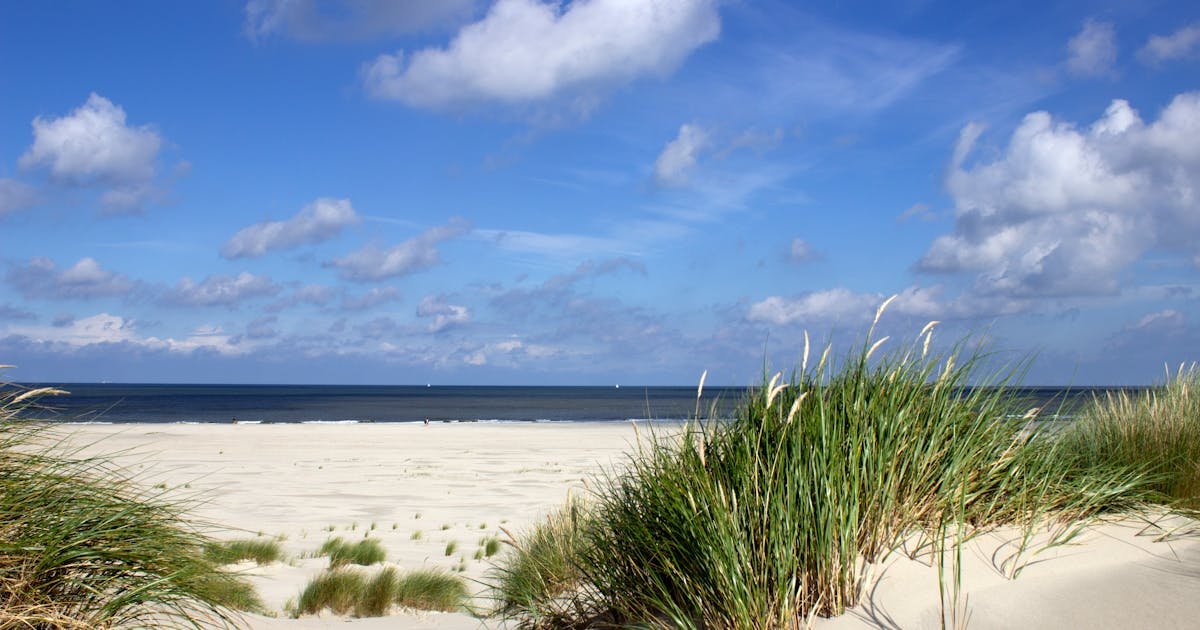 Zandstrand met duinen aan de Noordzee bij Roompot Beach Resort in Zeeland