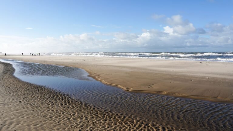 Breed Noordzeestrand met duinen bij Roompot Beach Resort