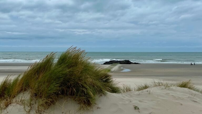 Noordzeestrand met duinen nabij Roompot Beach Resort Kamperland