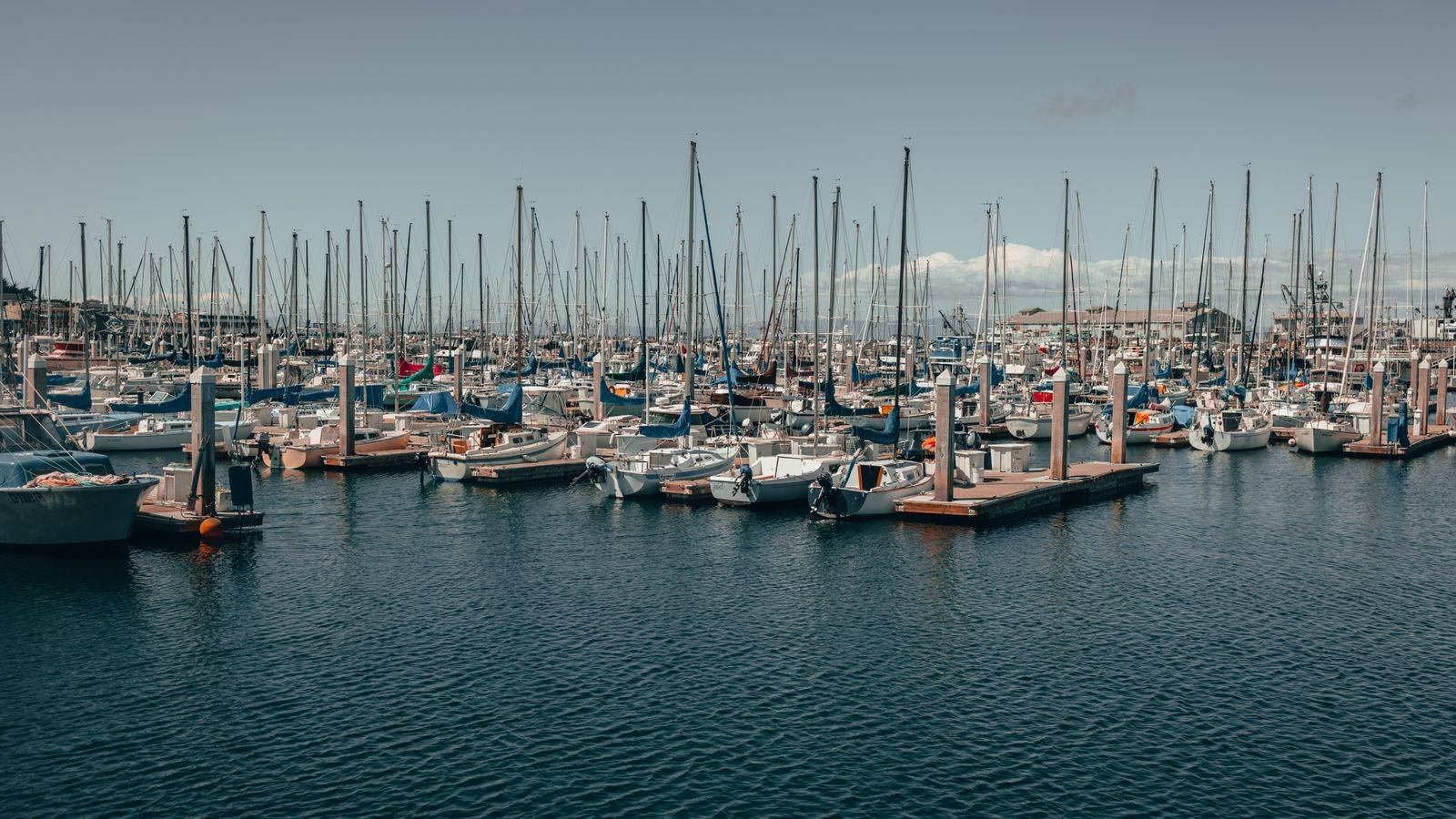 Jachthaven met zeilboten bij Roompot Cape Helius in Hellevoetsluis aan het Haringvliet