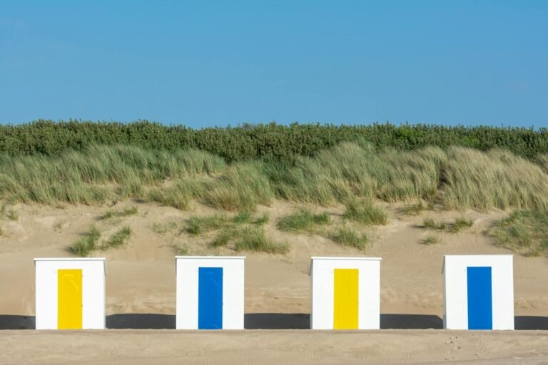 Strand en duinen aan de Zeeuwse kust bij Nieuwvliet-Bad
