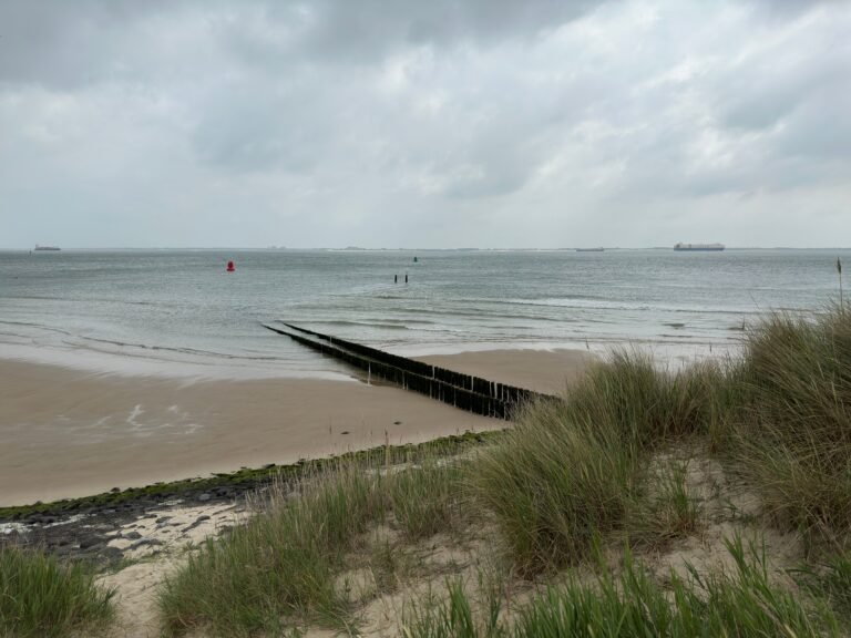 Breed Noordzeestrand met duinen bij Roompot Beach Resort Nieuwvliet-Bad