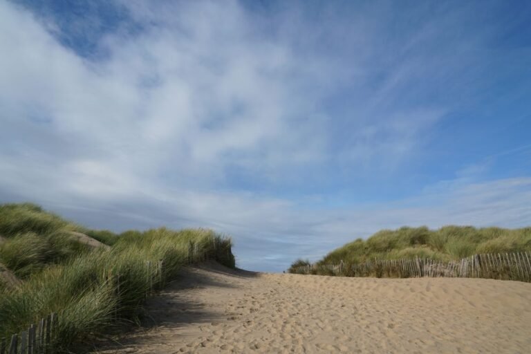Zandpad door de duinen richting het Noordzeestrand bij Roompot Beach Resort Nieuwvliet-Bad