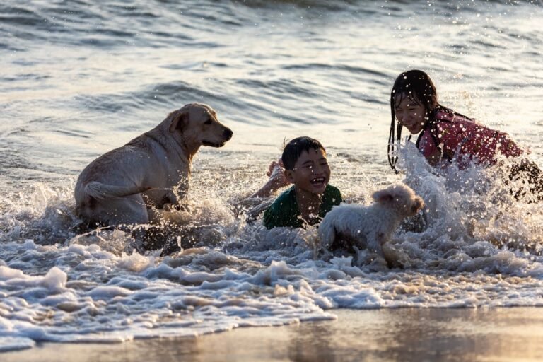 Kinderen spelen in de branding op het strand bij Roompot Nieuwvliet-Bad