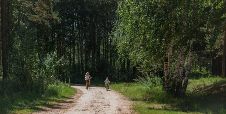 Gezin fietst over een zonnig bospad bij Center Parcs De Kempervennen