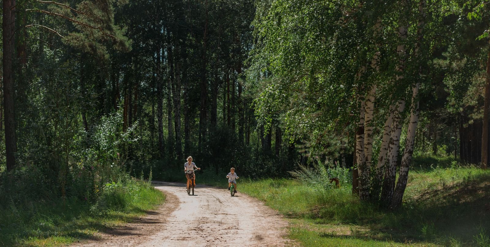 Gezin fietst over een zonnig bospad bij Center Parcs De Kempervennen
