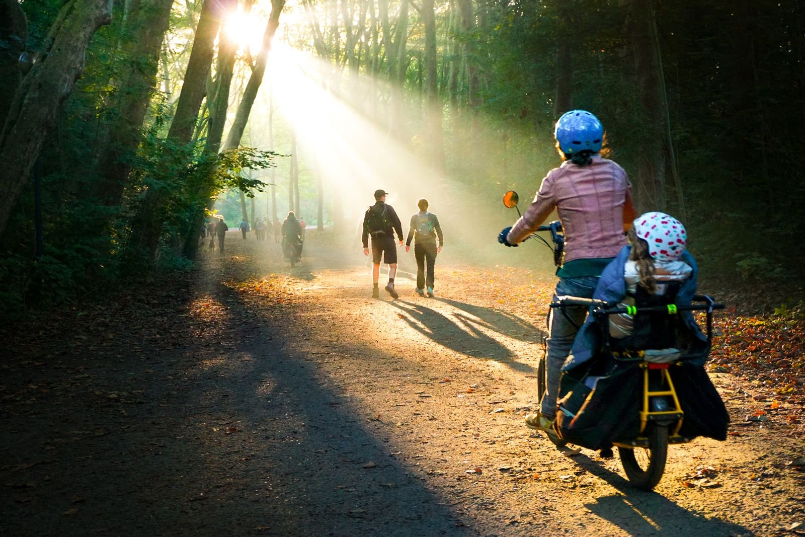 Wandelaars en fietsende ouder met kind op zonovergoten bospad
