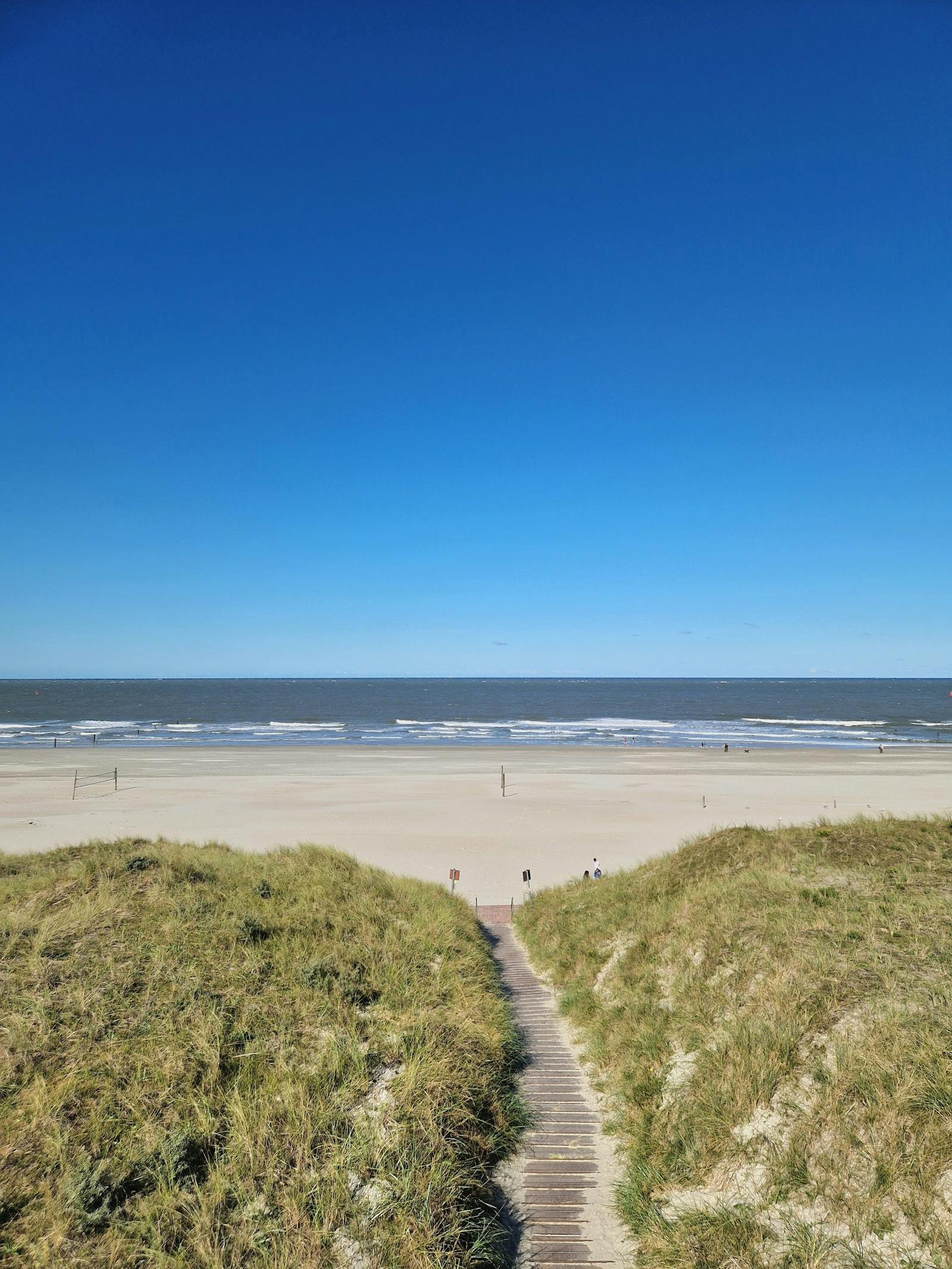 Strandpad door duinen naar de Noordzee met blauwe lucht en zee aan de horizon