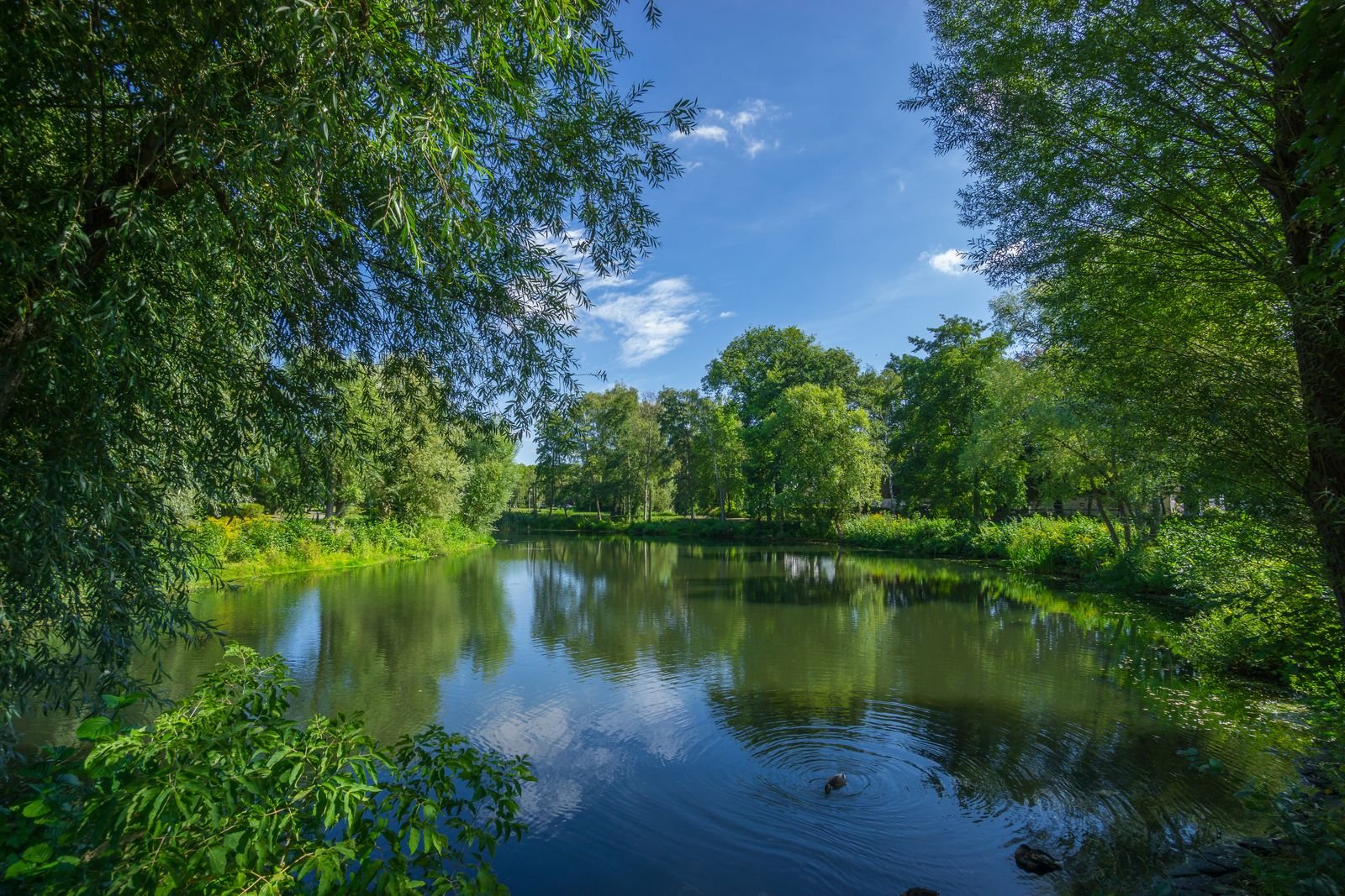 Groen meer omringd door zomerse bomen, sfeerbeeld bij Center Parcs Villages Nature Paris
