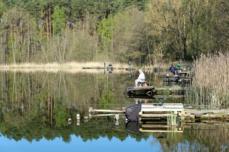 Hengelaars vissen aan een rustig meer omringd door groen bos bij Center Parcs