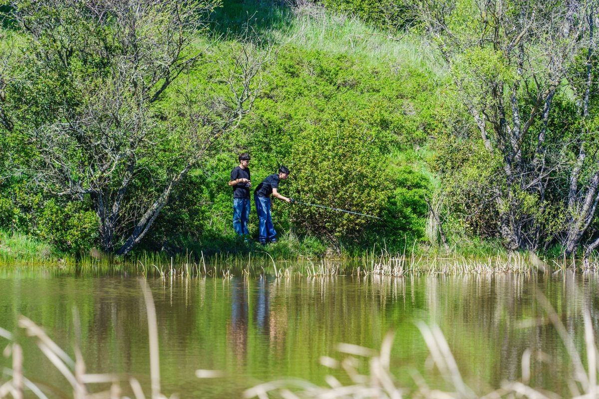 Twee hengelaars vissen aan een rustig, groen omzoomd meer