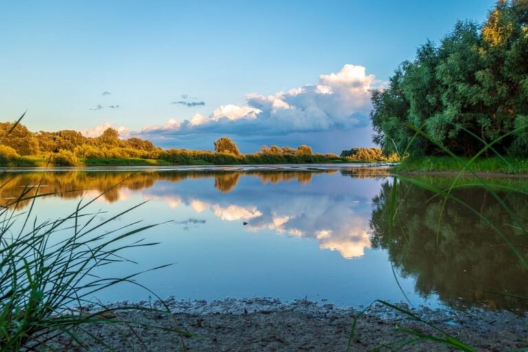 Rustig bosmeer met riet en weerspiegeling van wolken, natuur rond Center Parcs De Kempervennen