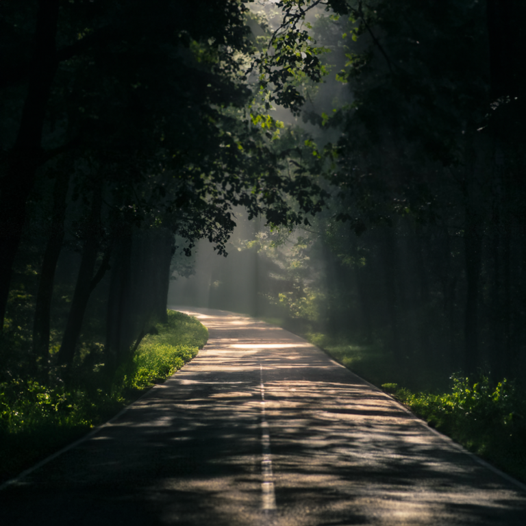 Zonlicht op een bospad in Normandie richting Center Parcs Les Bois-Francs