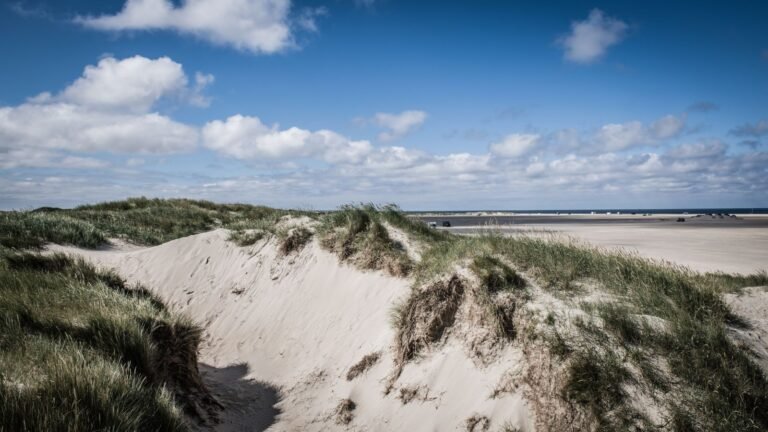 Duinen met helmgras en een breed Noordzeestrand onder blauwe lucht