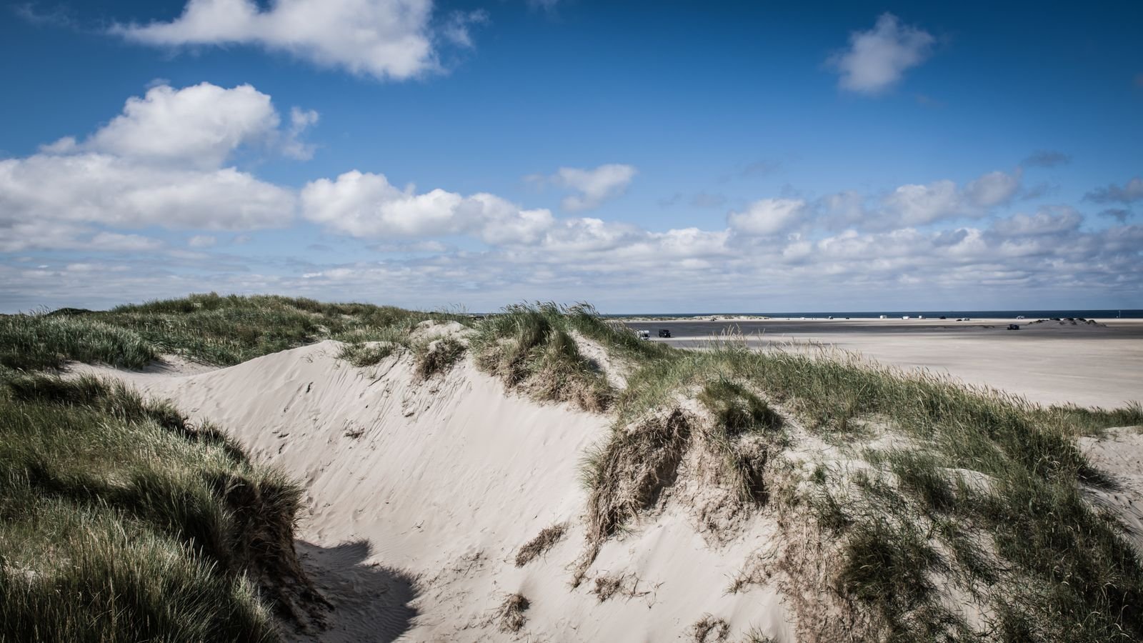 Duinen met helmgras en een breed Noordzeestrand onder blauwe lucht