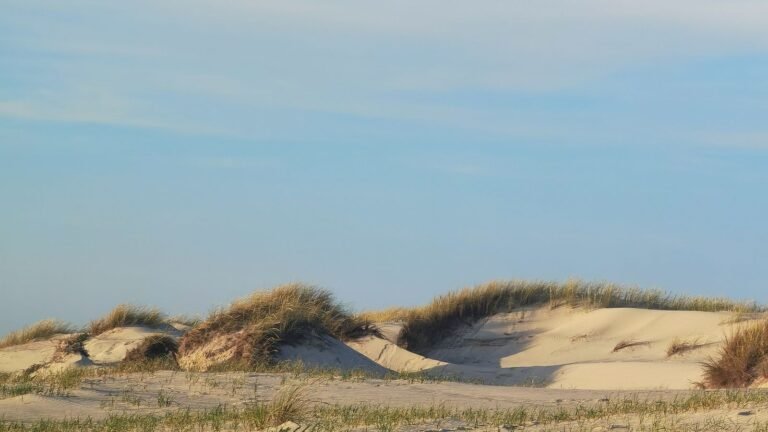 Duinen met helmgras en blauwe lucht aan de Zeeuwse Noordzeekust bij Roompot Beach Resort in Kamperland