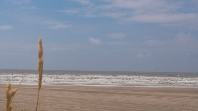 Noordzeestrand met duingras en golven bij de kust van Kamperland in Zeeland