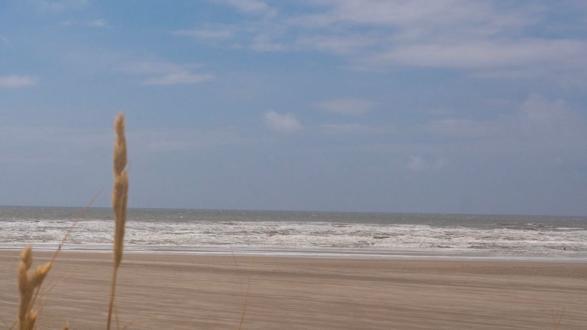 Noordzeestrand met duingras en golven bij de kust van Kamperland in Zeeland