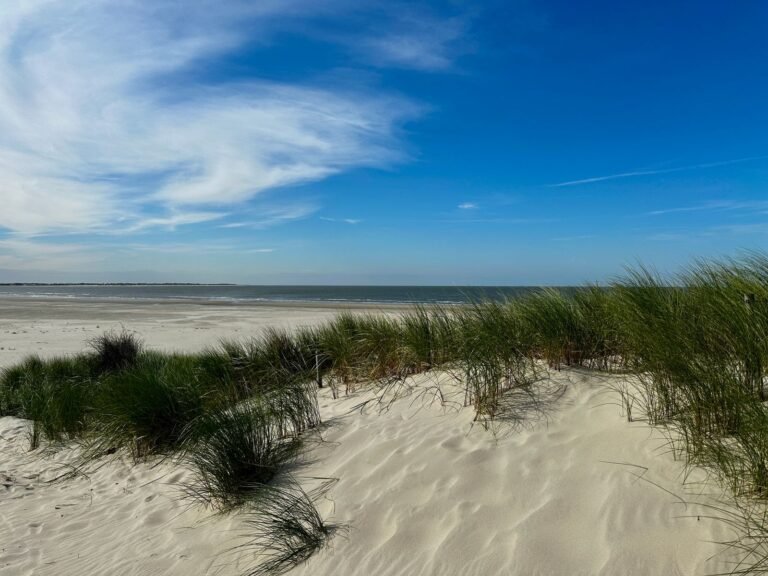 Strand met grasduinen aan de Oosterschelde bij Roompot Beach Resort Kamperland