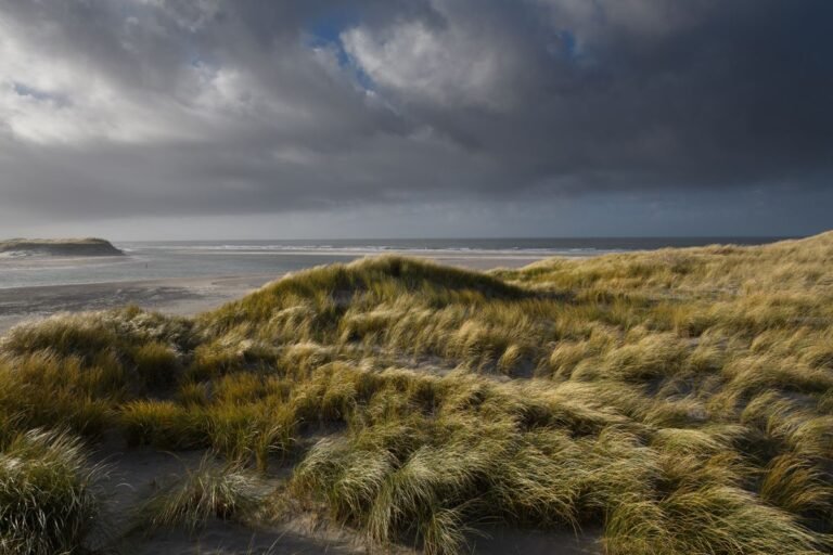 Duinen en Noordzeestrand aan de Nederlandse kust bij Nieuwvliet-Bad