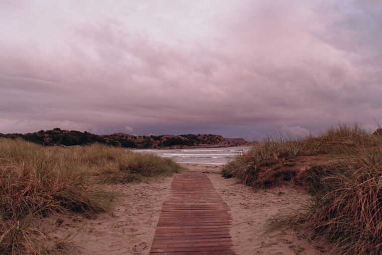 Pad door de duinen naar het Noordzeestrand bij Roompot Beach Resort Nieuwvliet-Bad