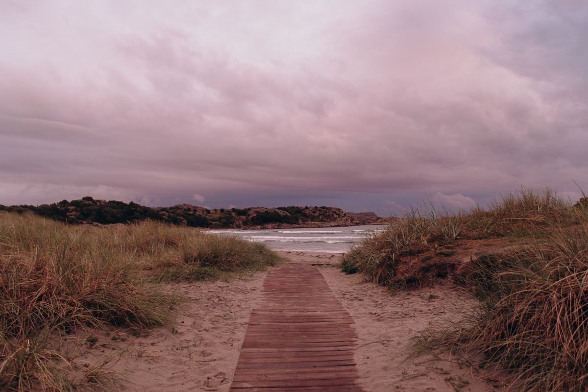 Pad door de duinen naar het Noordzeestrand bij Roompot Beach Resort Nieuwvliet-Bad
