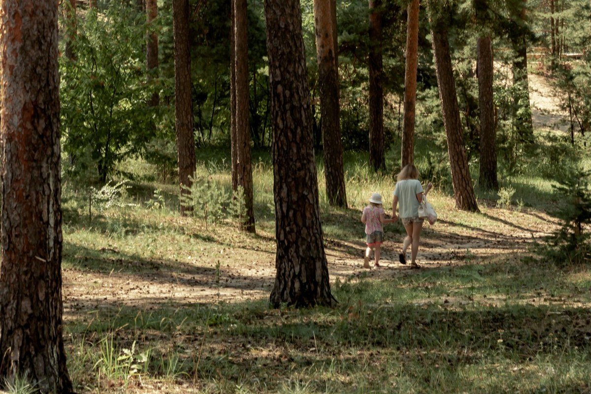 Kinderen wandelen hand in hand door het bos bij Center Parcs Limburgse Peel