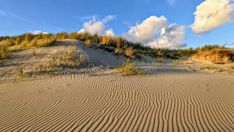 Zandduinen met helmgras aan de Zeeuwse kust bij Kamperland