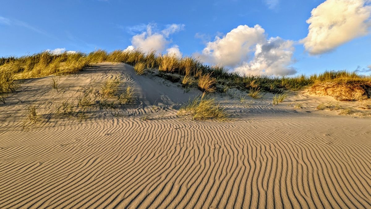 Zandduinen met helmgras aan de Zeeuwse kust bij Kamperland