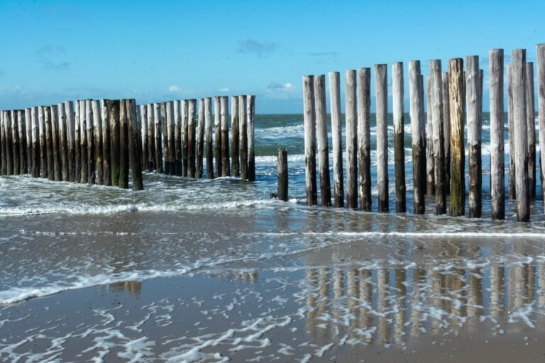 Houten paalhoofden op het Zeeuwse Noordzeestrand bij zonnig weer