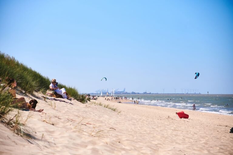 Zonnig strand aan de Belgische kust met duinen en zee