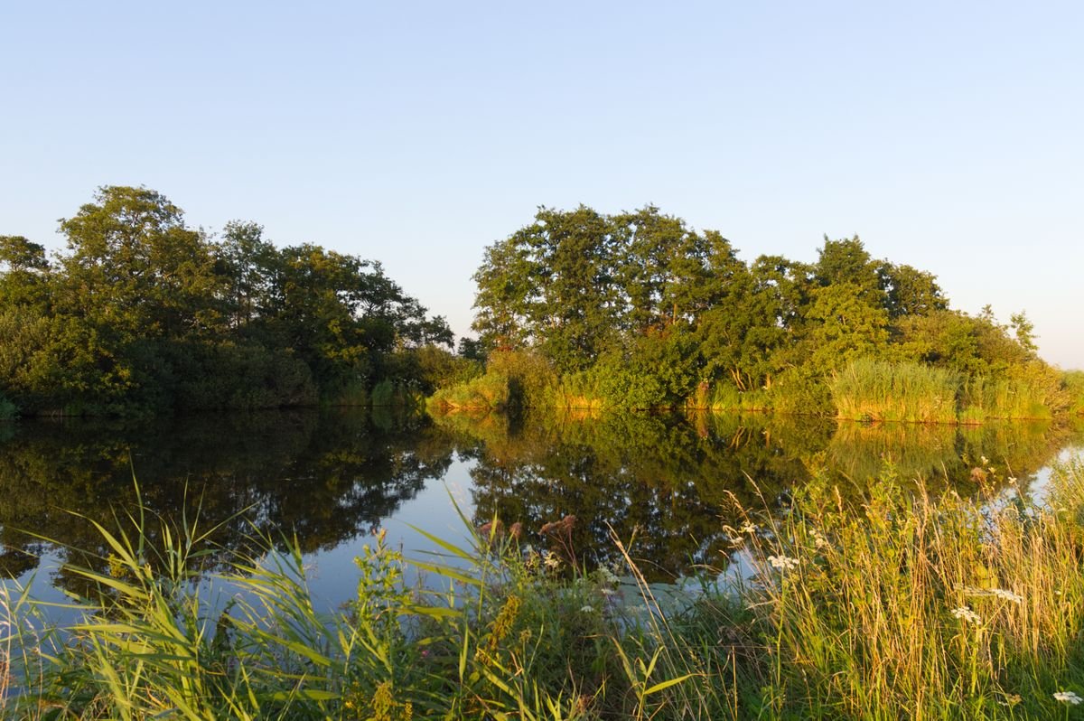 Rustig bosmeer met groene bomen in de natuur bij Center Parcs De Kempervennen