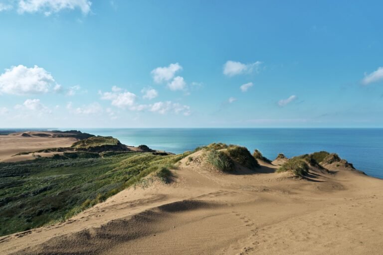 Duinen en de Noordzee bij Camping Port Zélande