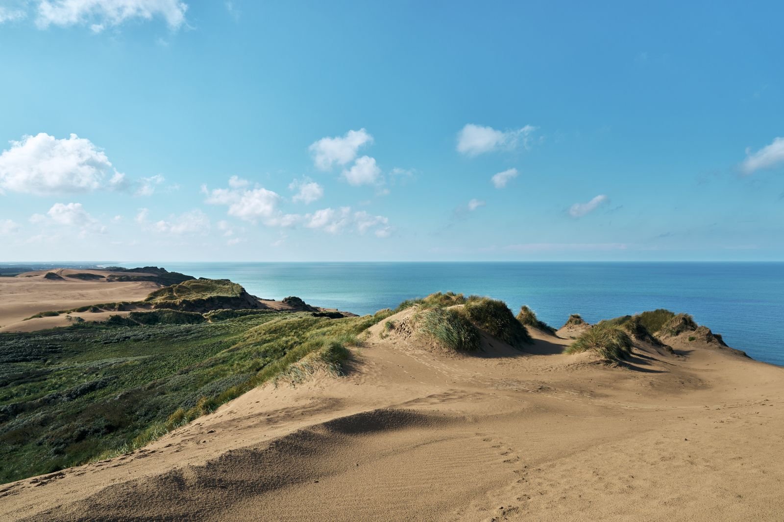 Duinen en de Noordzee bij Camping Port Zélande