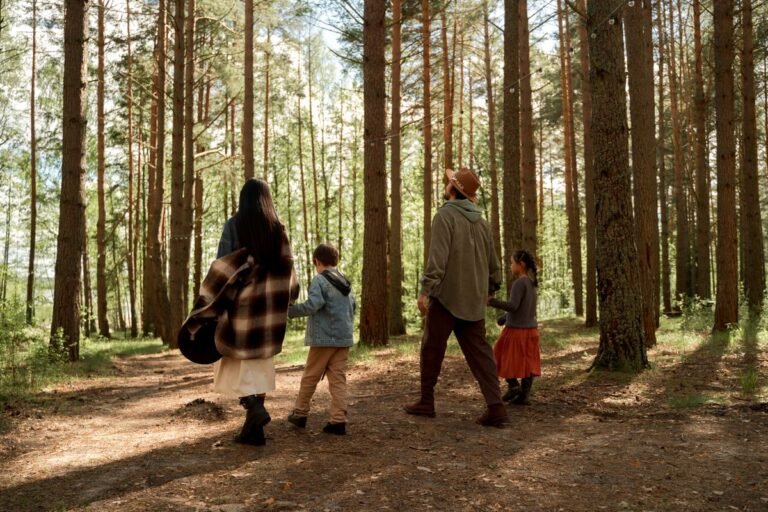 Gezin wandelt door een zonnig dennenbos bij Center Parcs Erperheide in Belgisch Limburg
