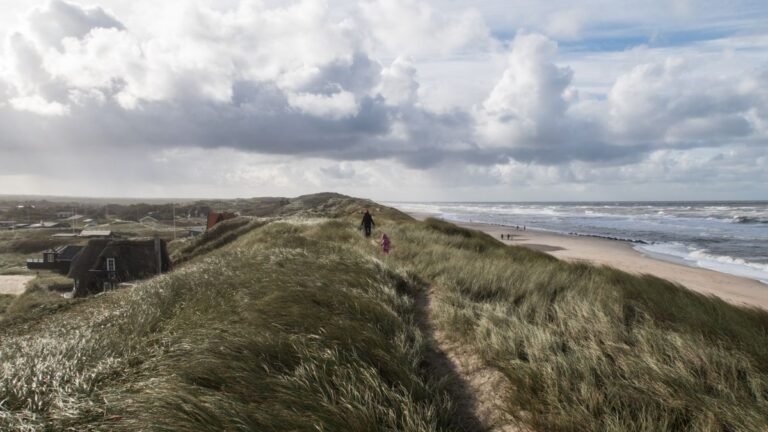 Gezin wandelt langs het strand en de duinen aan de Noordzeekust