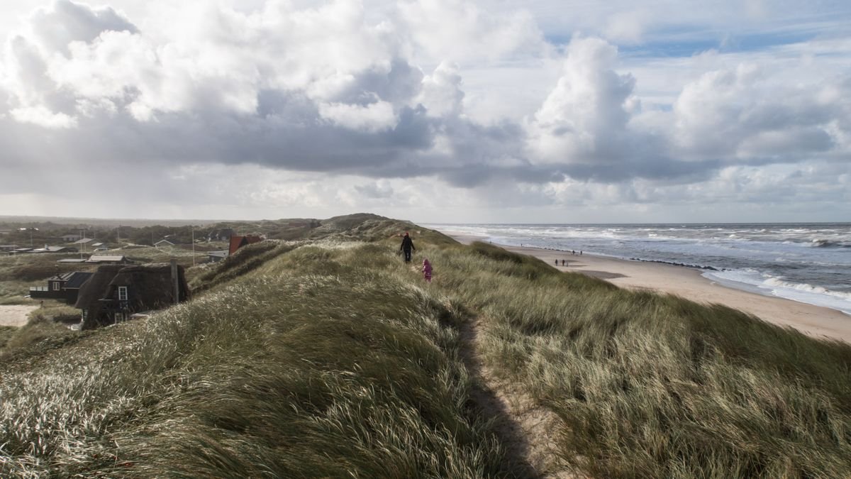 Gezin wandelt langs het strand en de duinen aan de Noordzeekust