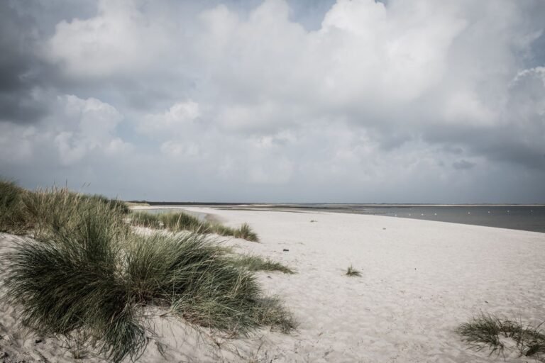 Noordzeestrand met duinen en helmgras aan de Belgische kust