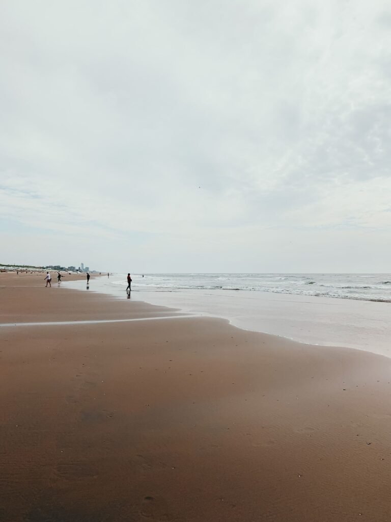 Wandelaars op het Noordzeestrand bij een Roompot kustpark
