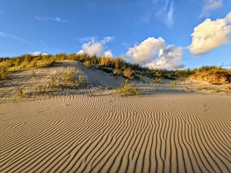 Duinen met helmgras en breed strand aan de Noordzeekust